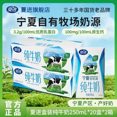 【7月产】夏进盒装纯奶250ml*20盒*2箱 自有牧场奶源营养放心喝【5天内发货】优惠商品图片