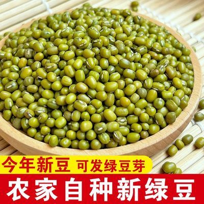当季新绿豆老品种易煮新鲜应季圆润饱满皮薄沙糯绿豆汤专用豆批发优惠商品图片
