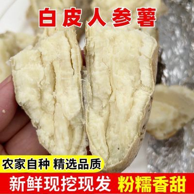 白心红薯人参薯新鲜现摘番薯粉绵香甜健身甜糯干面【五斤包邮】