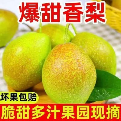 带箱5斤爆甜红香酥梨新鲜梨子红皮薄皮梨子应季水果彩箱优惠商品图片