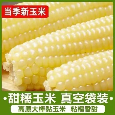 正宗新鲜玉米白糯玉米黏糯玉米代餐粗粮正品糯玉米整箱即食优惠商品图片