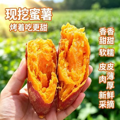 正宗蜜薯地瓜新鲜现挖蜜薯农家板栗红薯番薯红心沙地整箱糖心地瓜优惠商品图片
