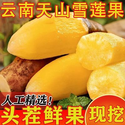 【当天挖】云南天山雪莲果新鲜现货应季水果黄心特级整箱批发价优惠商品图片
