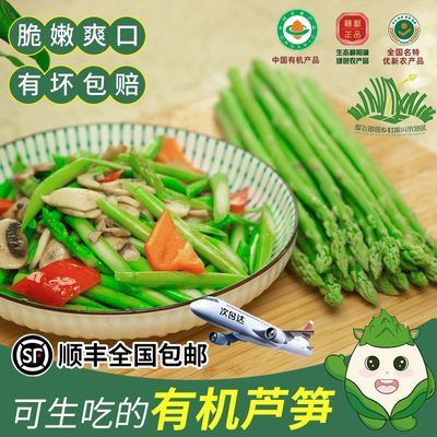 【可生吃有机芦笋】现采现摘绿色优质坏笋包赔蔬菜当季顺丰发