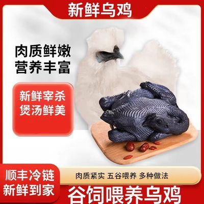 新鲜宰杀五谷喂养乌鸡肉质鲜嫩营养丰富煲汤鲜美顺丰冷链到家