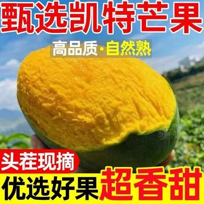 精品正宗凯特芒果特大香甜孕妇水果当季云南芒果新鲜大脸芒整箱