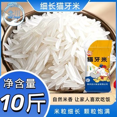 念川10斤大米新米猫牙米丝苗米长粒香新米晚稻现磨现发便宜超长优惠商品图片
