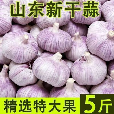 【5斤新干蒜】金乡大蒜头批发紫皮干大蒜农家干蒜批发价一整箱