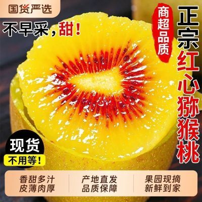 【特产】精选正宗四川蒲江红心猕猴桃奇异果时令水果当季弥猴桃