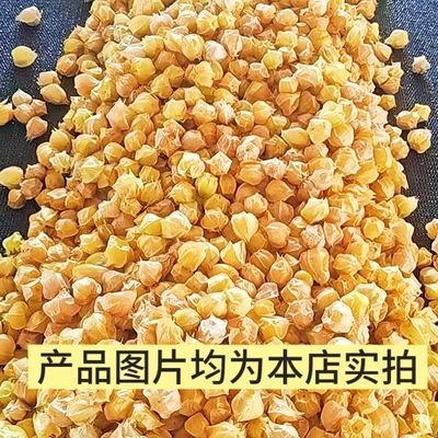 正宗东北灯笼姑娘果小黄金豆中小豆整箱发货破损包赔坏一颗赔一颗