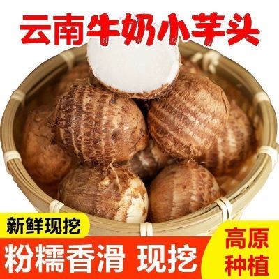 正宗云南牛奶芋头小芋头香芋毛芋现挖批发芋头孕妇控糖减脂期食物优惠商品图片