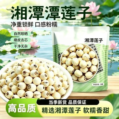 【新莲上市】湘潭去芯白莲子新鲜软糯香甜易煮无干燥剂煮粥煲汤优惠商品图片