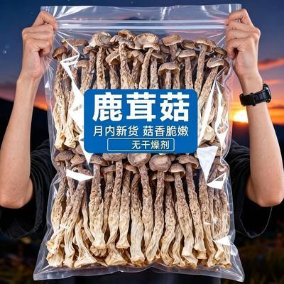 【净重装】古田鹿茸菇干货整根鹿茸菌农家鹿茸耳菇批发煲汤食材优惠商品图片