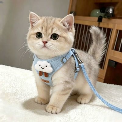 专用宠物绳小猫层式防脱猫云朵背心夏季金渐胸背牵引绳外出猫咪遛优惠商品图片