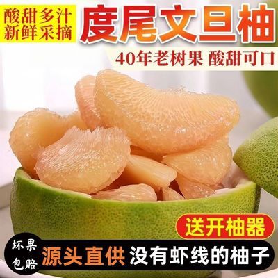 正宗福建仙游度尾文旦柚有孔柚红心当季新鲜孕妇酸甜水果无虾线柚【30天内发货】优惠商品图片
