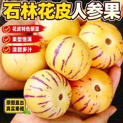 【助农】云南正宗石林人参果应季黄肉圆果孕妇低糖水果家庭
