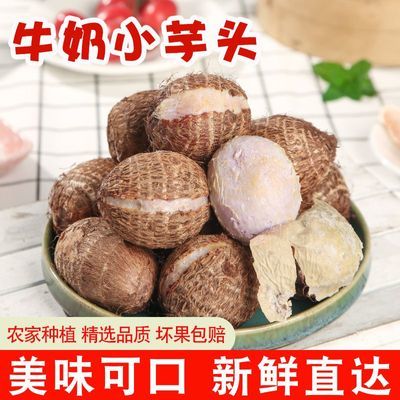 正宗牛奶小芋头牛奶芋头粉糯奶香糯应季蔬菜新鲜批发整箱无二母果