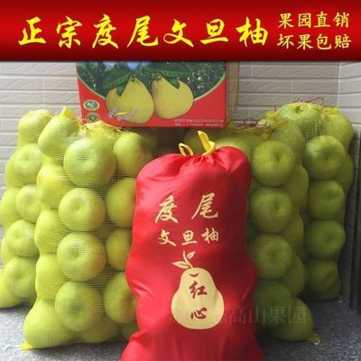 正宗福建度尾文旦柚孕妇酸甜水果应季现摘红心蜜仙游柚子时令水果【30天内发货】优惠商品图片