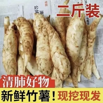 二斤装新鲜现挖竹薯煲汤搭档广东竹薯冬薯现发农家自种食材中小果优惠商品图片