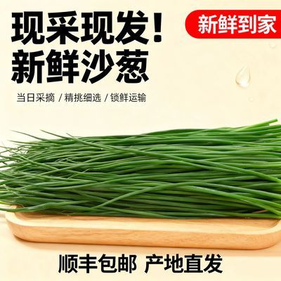 顺丰包邮、甘肃特产、民勤沙葱、产地直发、沙漠采摘、保温箱冰袋优惠商品图片