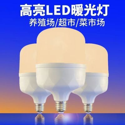 led养殖场暖光专用照明灯蛋鸡舍暖光灯防水养鸡场E27螺旋新款三防