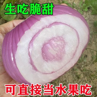 【超鲜扁葱】二红扁葱2026新鲜水果洋葱正宗红皮葱头生吃甜脆不辣优惠商品图片