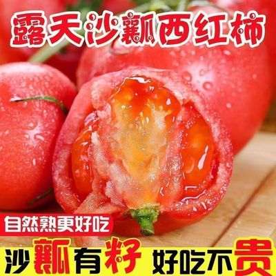 【沙瓤有籽】云南沙瓤西红柿自然成熟新鲜番茄现摘生吃小番茄批发优惠商品图片
