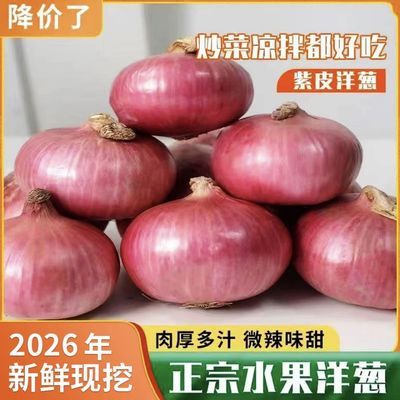 山东二红扁葱肉厚多汁新鲜水果洋葱生吃甜脆应季土特产2026正宗优惠商品图片