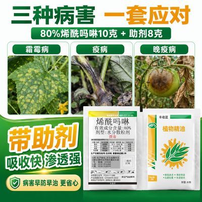80%烯酰吗啉高含量杀菌剂霜霉疫病晚疫病干尖黄叶正品厂家农药
