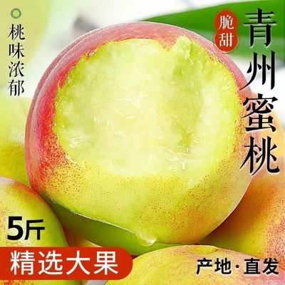 正宗山东青州蜜桃桃子新鲜脆甜离核毛桃水果当季青桃大果水蜜桃