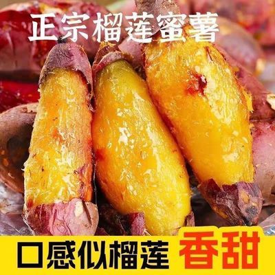 正宗云南榴莲蜜薯高山新鲜黄心现挖红薯香甜糖心正品