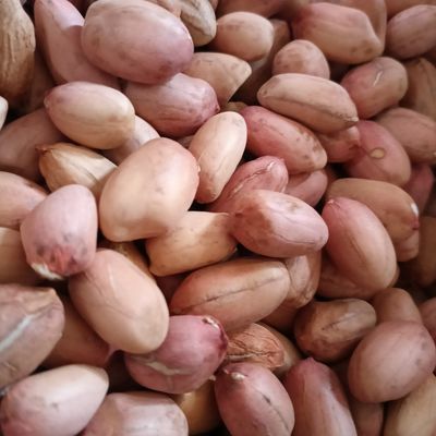 山东曹县农户自种手工挑选红皮花生大颗粒净重装 可食用可榨油优惠商品图片
