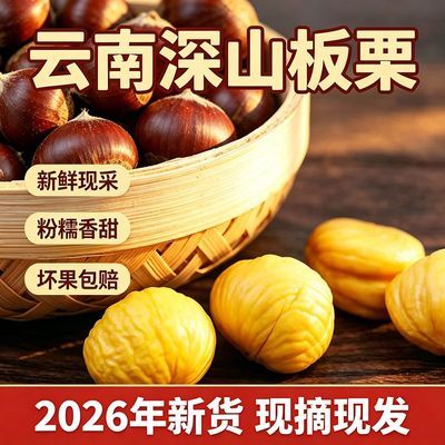 5斤特大果正宗云南老树新鲜板栗2026大果新鲜老树产地直发粉糯优惠商品图片