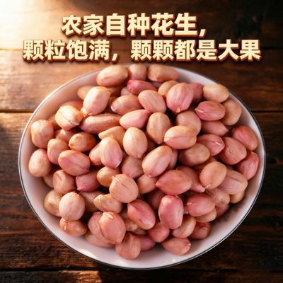 红皮花生大颗粒山东菏泽曹县农家自产手工挑选 食用榨油花生5斤装优惠商品图片