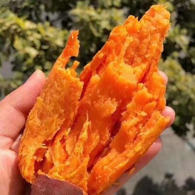 河南正宗沙土地蜜薯红薯新鲜糖超甜无筋无丝山芋现挖红心批发香甜优惠商品图片