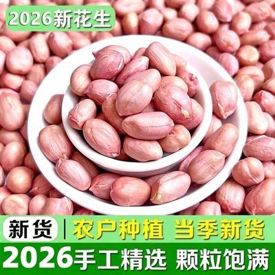 山东曹县农户自种手工了挑选红皮花生大颗粒5斤装 可食用可榨油