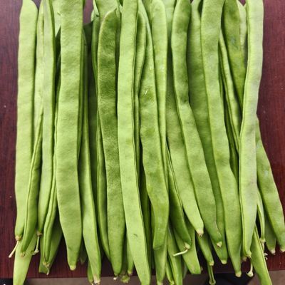 云南露天蔬菜新鲜扁豆现摘现发新鲜蔬菜