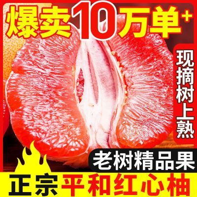 【爆甜】精品红肉柚子正宗红心柚福建平和琯溪蜜柚现摘新鲜水果【9月7日发完】