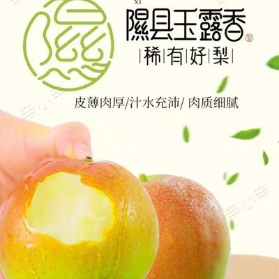山西隰县直发香梨正宗玉露应季新鲜梨子脆甜薄皮整箱礼盒装水果优惠商品图片