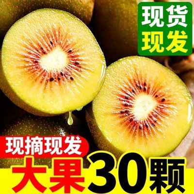 正宗红心猕猴桃奇异果新鲜应当季新鲜孕妇水果现摘弥猴桃