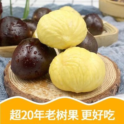 正宗2026板栗新鲜高山栗子现摘香甜当季老树毛栗子大果