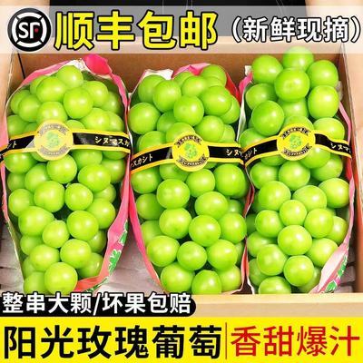 阳光玫瑰去粉增香靓果彩箱正宗晴王葡萄脆甜无籽大果青提子5斤装优惠商品图片