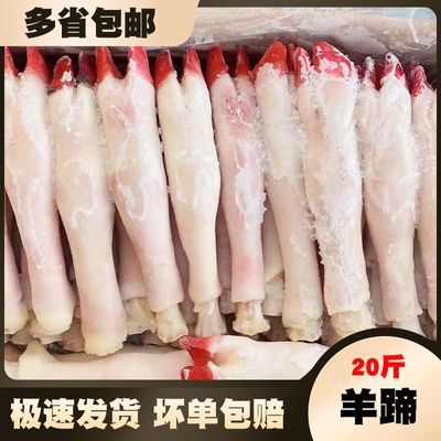 新鲜现杀冷冻羊蹄优质清真山羊绵羊羔羊羊脚带筋羊蹄饭店整箱批发