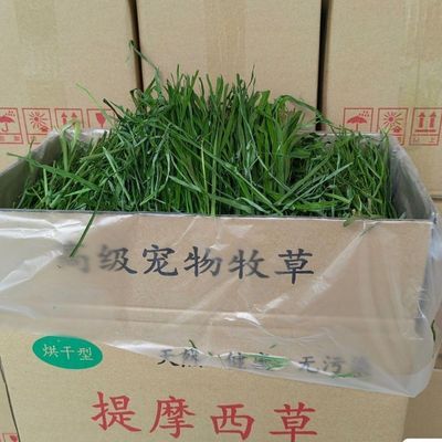 烘干提摩西草兔子草豚鼠荷兰猪龙猫专用牧草适合食草宠物新鲜饲料优惠商品图片