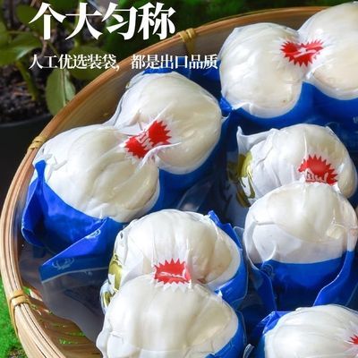 一斤四袋,一袋四颗,共16颗兰州甜百合