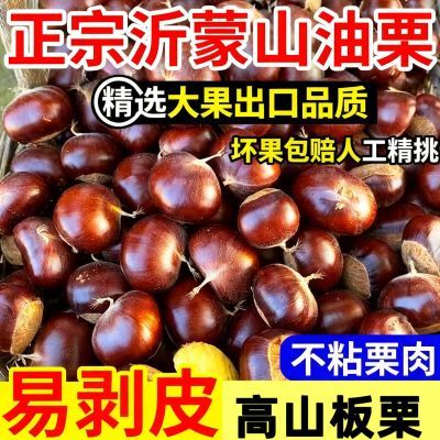 山东沂蒙山老树黄心油板栗新鲜生板栗野生树精选油栗街边炒货推荐优惠商品图片