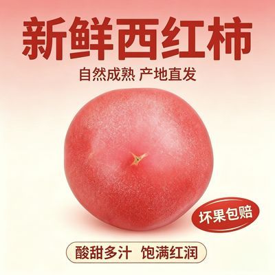 山西长子现摘口感西红柿番茄粉果沙瓤番茄新鲜自然熟适合生吃蔬菜优惠商品图片