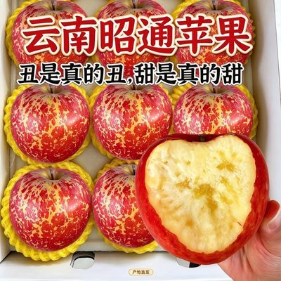 正宗丑苹果云南昭通高原冰糖心现摘脆甜多汁整箱批发当季水果正品