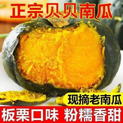 正宗贝贝南瓜板栗味带箱新鲜直发粉糯宝宝辅食老南瓜