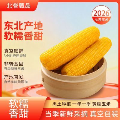 【北誉甄品】26年新货新鲜糯玉米非转基因黄糯玉米真空包装粗粮优惠商品图片